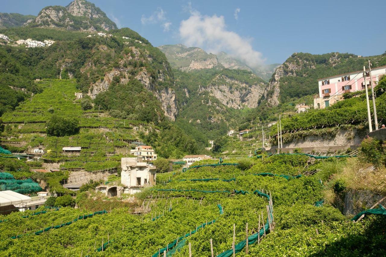 Villa Pricitella Amalfi Exteriér fotografie